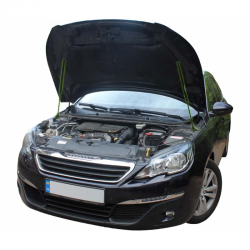 Газовий упор капота Peugeot 308 2 (2013-2021) (2 шт) Фото Газовий упор капота Peugeot 308 2 (2013-2021) (2 шт)