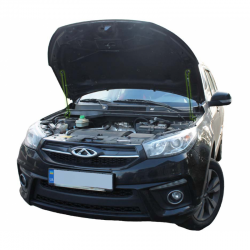     Chery Tiggo 3 (2014-2020) (2 )