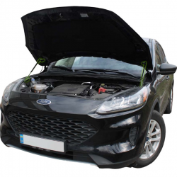     Ford Kuga 3 / Escape 4 (2019+) (2 ) Iron Hood