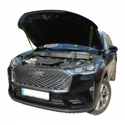     Haval H6 (2020+) (2 )