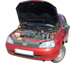 Газовий упор капота Lada Kalina (2004-2013) (2 шт) Фото Газовий упор капота Lada Kalina (2004-2013) (2 шт)