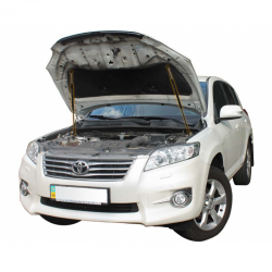     Toyota Rav4 5g (2018+) (2 )