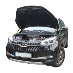     Chery Tiggo 4 (2017+) (2 )