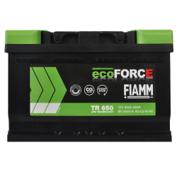   FIAMM Ecoforce AFB  65h 650 R+ (TR650) (L3B)