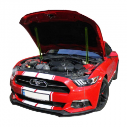    Ford Mustang 6 (2015-2022) (2 )