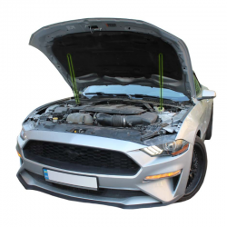     Ford Mustang 6 rest (2017-2022) (2 )