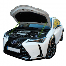 Газовий упор капота Lexus UX (2018+) (2 шт) Фото Газовий упор капота Lexus UX (2018+) (2 шт)