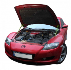     Mazda RX-8 (2003-2012) (2 )
