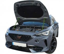     Cupra Formentor (2020+) (2 )