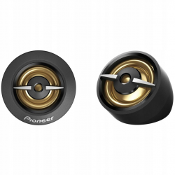   Pioneer TS-301TW