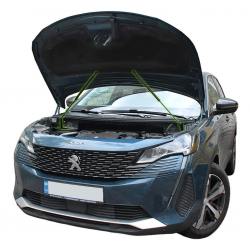 Газовий упор капота Peugeot 3008 / 5008 2 gen. (2016-2023) (2 шт) Фото Газовий упор капота Peugeot 3008 / 5008 2 gen. (2016-2023) (2 шт)