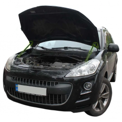 Газовий упор капота Peugeot 4007 (2007-2012) (2 шт) Фото Газовий упор капота Peugeot 4007 (2007-2012) (2 шт)