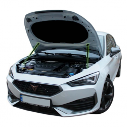     Cupra Leon (2020+) (2 )