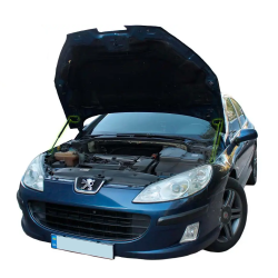 Газовий упор капота Peugeot 407 (2004-2011) (2 шт) Фото Газовий упор капота Peugeot 407 (2004-2011) (2 шт)