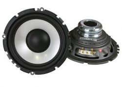   DLS DUP6i SingleDriver