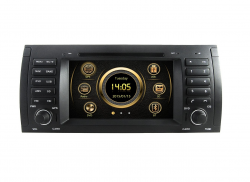    EasyGo S316 (BMW 5 E39)