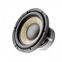   Focal Performance P20F