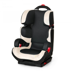   Hauck Bodyguard Plus black/beige (61001-5)