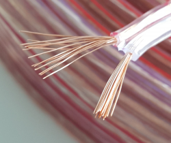    Digital DC-2C18 18AWG / 100m bulk (1m)