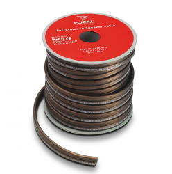    Focal CAB PS25 (12m )