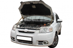     Chevrolet Aveo t250 (2005-) (2 )