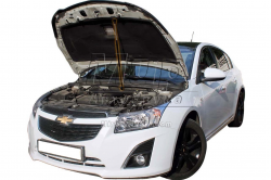     Chevrolet Cruze (2008+) (1 )