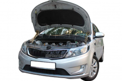     Kia Rio 3 (2012+) (2 )