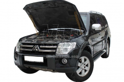     Mitsubishi Wagon 4 (2005+) (2 )