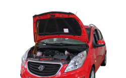     Ravon R2 (2015) (1 )