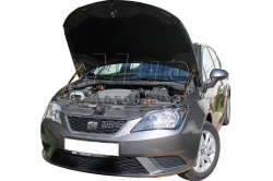     Seat Ibiza 6j (2008-2017) (2 )