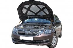     Skoda Otavia A7 (2013+) (2 )