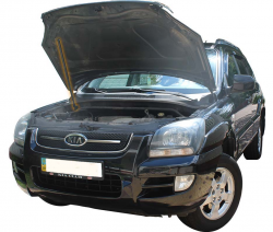     Kia Sportage 2 (2004-2010) (1 )