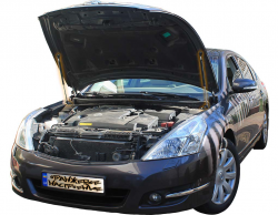 Газовий упор капота Nissan Teana J32 (2008-2013) (2 шт) Фото Газовий упор капота Nissan Teana J32 (2008-2013) (2 шт)