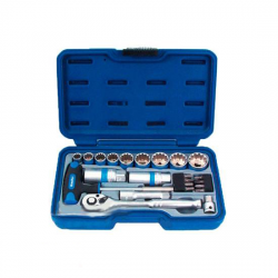    King Roy 023-MDA (23 )