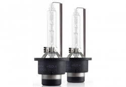    Infolight D4S 4000K 35W ()