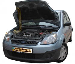    Ford Fiesta 5 (2001-2009) (1 )