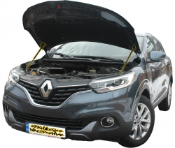    Renault Kadjar (2015+) (2 )