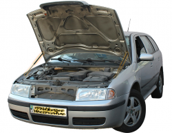     Skoda Otavia Tour (1996-2010) (2 )