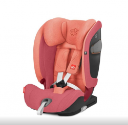   GB Everna-fix Rose Red red (619000347)