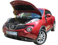    Nissan Juke (2010-2019) (1 )
