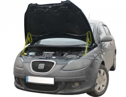     Seat Toledo 3 (2004-2009) (2 )