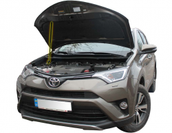     Toyota Rav4 5g (2019+) (1 )