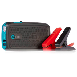 ���� ����� �������� ������� Ring RPPL300