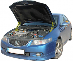 Газовий упор капота Honda Accord 7 (2002-2007) (2 шт) Фото Газовий упор капота Honda Accord 7 (2002-2007) (2 шт)