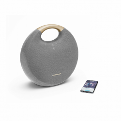    Harman Kardon Onyx Studio 6 Gray (HKOS6GRYEU)