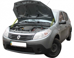     Renault Sandero (2008-2012) (2 )