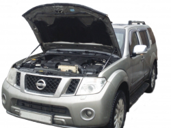     Nissan Pathfinder R51 / Navara 3 (2005-2014) (2 )