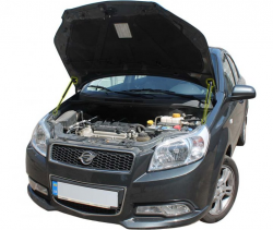     Chevrole Aveo t255 (2005-) (2 )