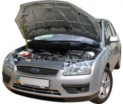 Газовий упор капота Ford Focus 2 (2004-2008) (1 шт) Фото Газовий упор капота Ford Focus 2 (2004-2008) (1 шт)
