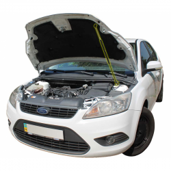     Ford Focus 2 rest (208-2011) (1 )